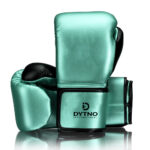 Boxing gloves