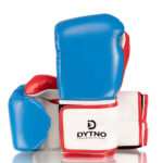 Boxing gloves