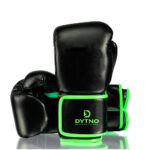 Boxing gloves