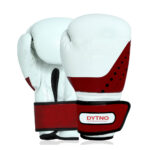 Boxing gloves