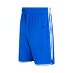 Gym Shorts