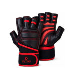 Weight Lifting Gloves